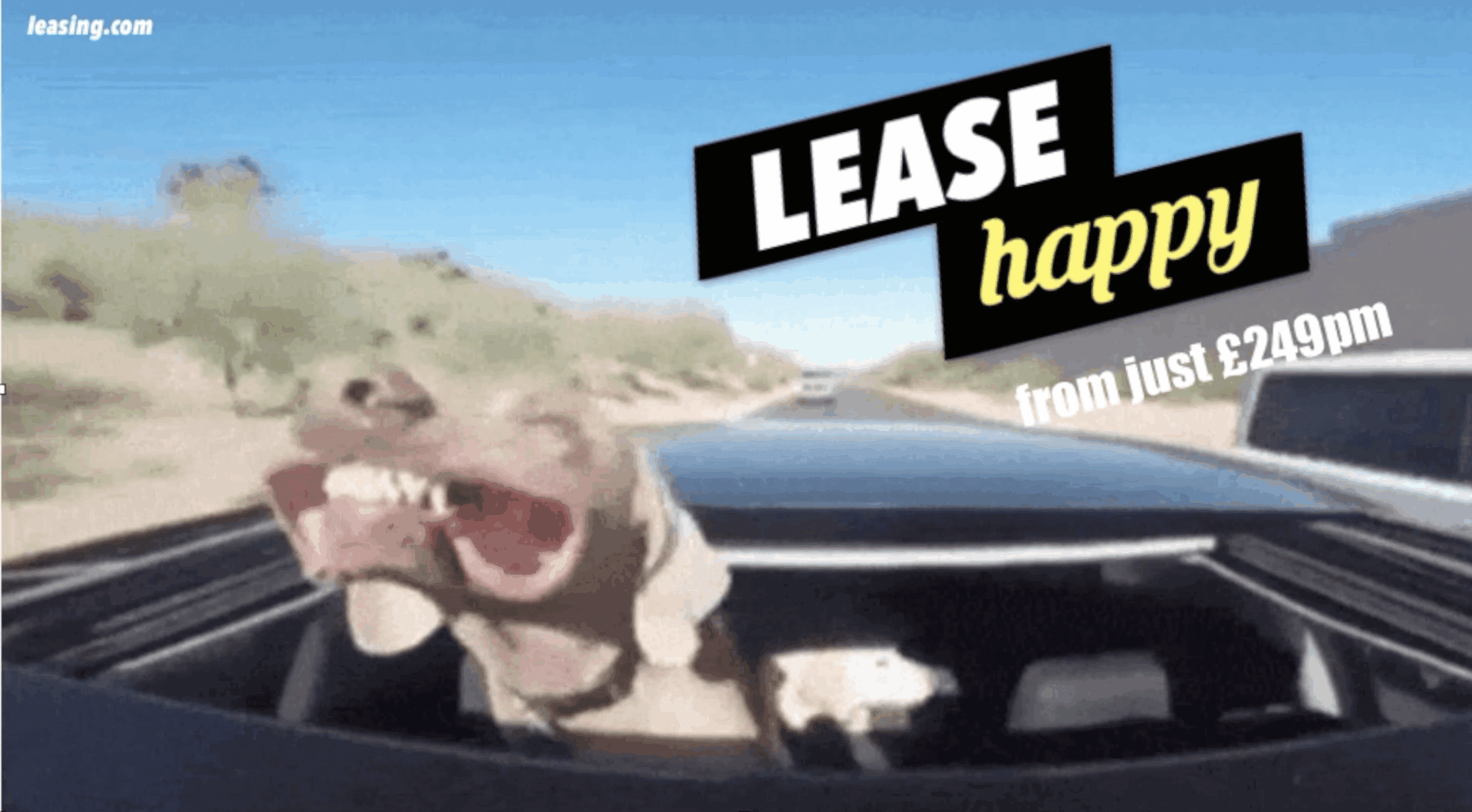 Leasing.com Lease Happy creative.